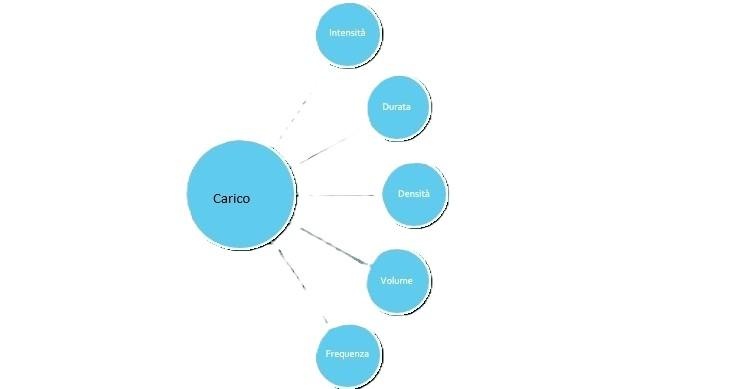 Componenti del carico: intensità, durata, densità, volume, frequenza.
