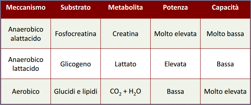 Tabella dei meccanismi energetici (anaerobico alattacido, anaerobico lattacido, aerobico) con substrato, metabolita, potenza e capacità.