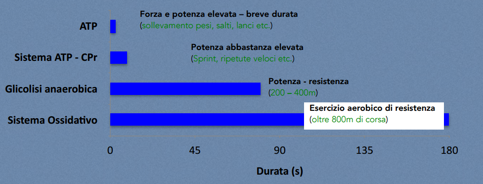 Sistemi energetici e durata dello sforzo: ATP, ATP-CP, glicolisi anaerobica, sistema ossidativo.