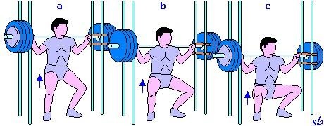 Squat al bilanciere in tre posizioni articolari (a, b, c) per il metodo isometrico.