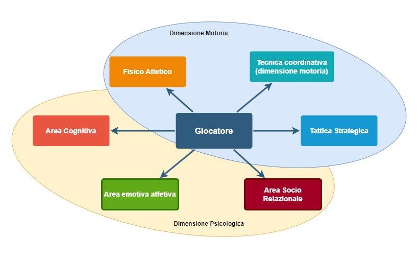 Il giocatore tra dimensione motoria e psicologica: fisico atletico, tecnica coordinativa, tattica strategica, area cognitiva, emotiva affettiva, socio relazionale.